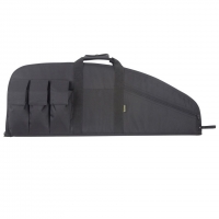 Gun Case